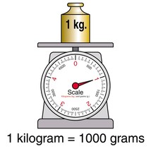 kilograms to weight converter